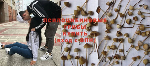 MESCALINE Абинск