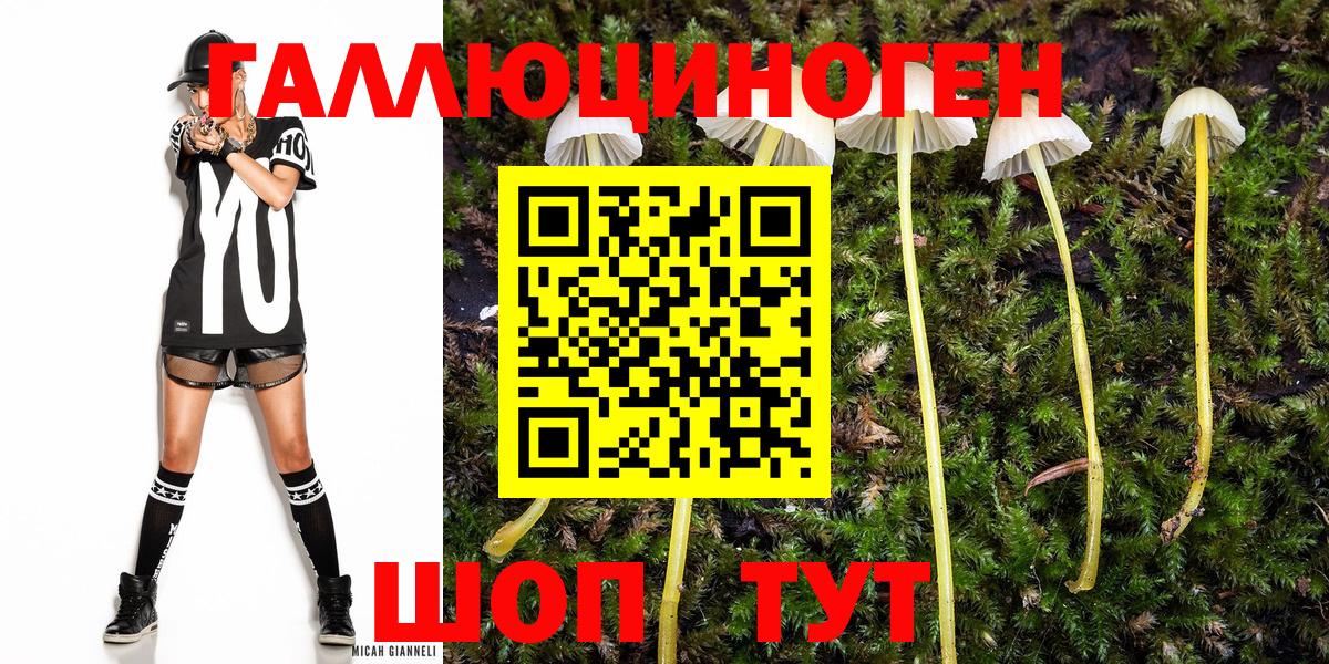 Галлюциногенные грибы MAGIC MUSHROOMS  Вход с VPN  Керчь 